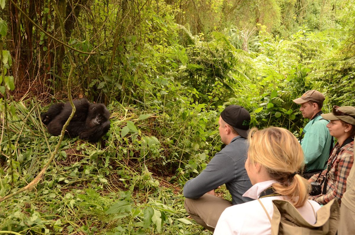 14 Days Uganda Wildlife Safari
